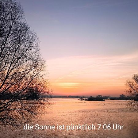 Zur Nachtigall Damnatz Esterno foto